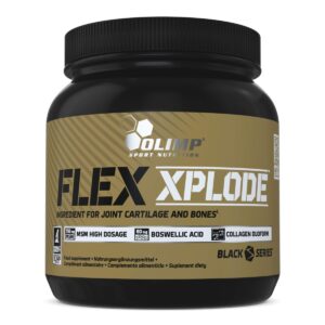 Flex Xplode® - 504 g